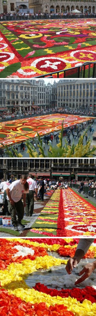 Flower-Carpet-1