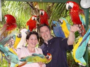 Tropical Birds at The Garden of Eden