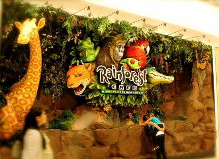 The Rainforest Cafe in the Mall of America in Minneapolis, MN 