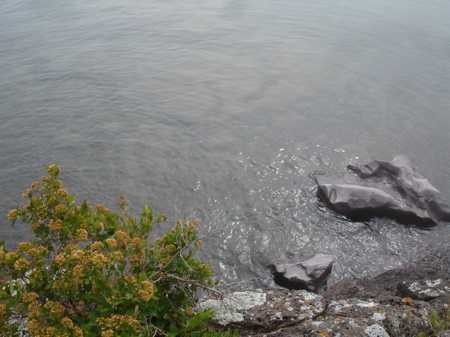 north shore adventure ~ day 3 continued ~ temperance river state park & the superior hiking trail