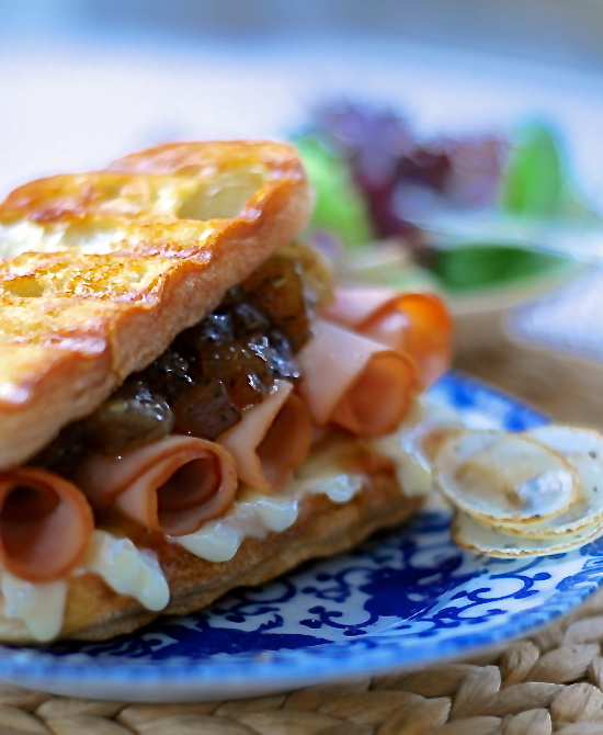 applepieturkeypanini