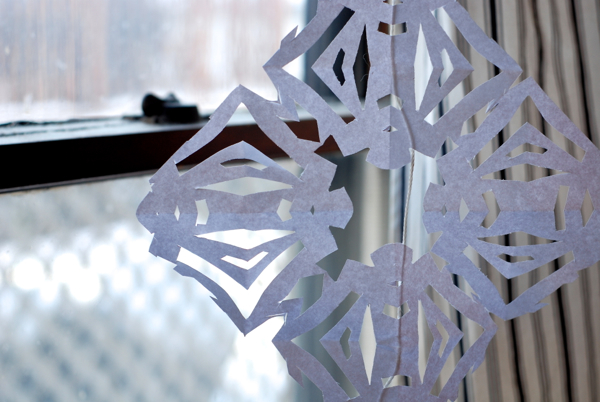 snowflake3-DSC_0050