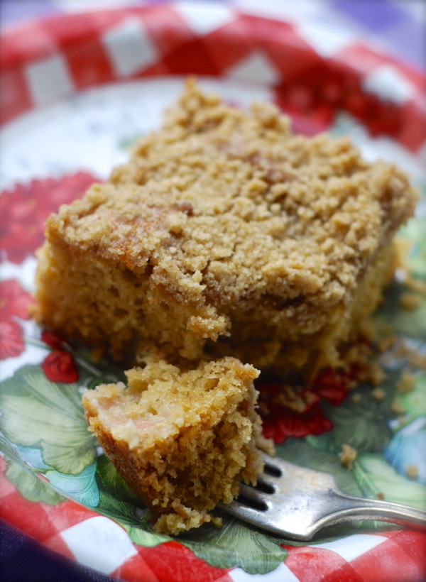 rhubarbpicniccake-DSC_0071