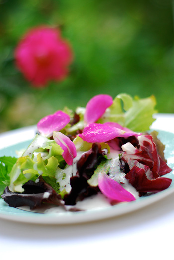 rose petal salad - ChinDeep