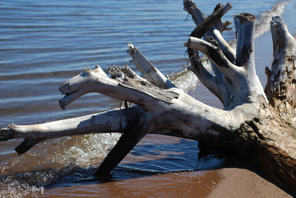 duluthdriftwood