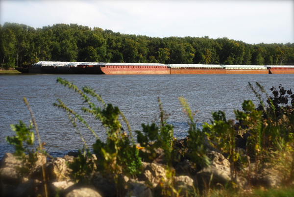 colvillbarge-DSC_0094