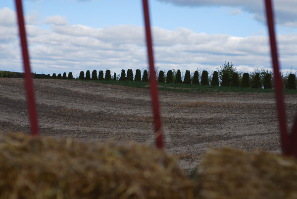 hayride2