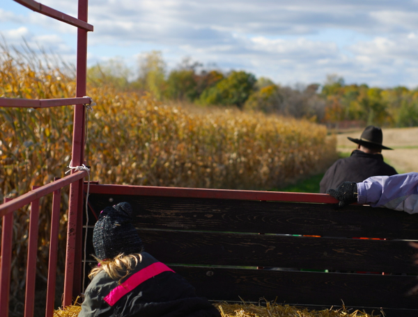 hayride4