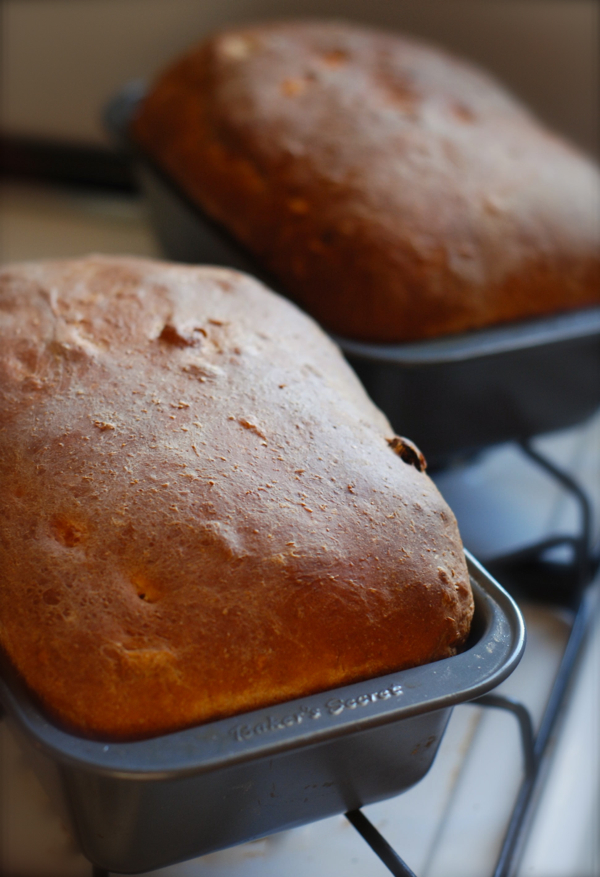 muesli bread - ChinDeep