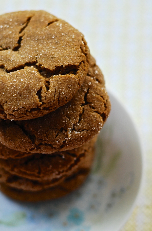 soft gingerbread cookies {in a cake pan} - ChinDeep