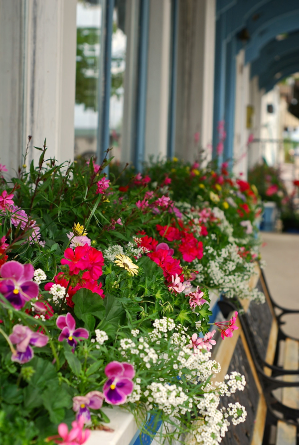 harborflowerboxes