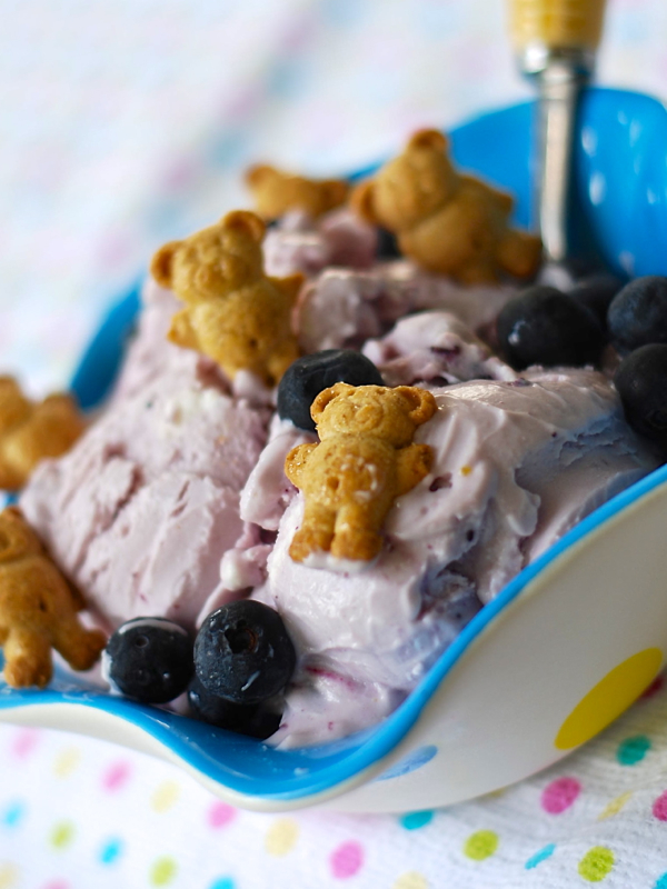 blueberrycheesecakefroyo