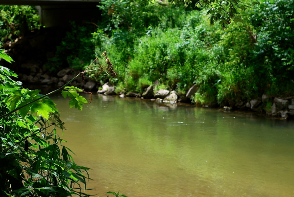 swimhole3-2014