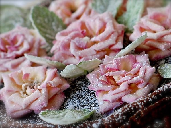 Rosemary for Remembrance - The Flower Writer