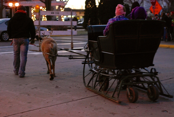 reindeersleigh