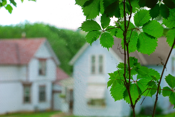 frontporchview