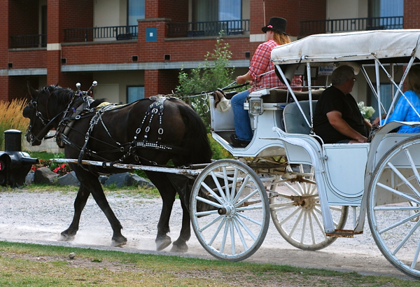 carriage4dsc_0144