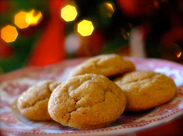 soft gingerbread cookies {in a cake pan} - ChinDeep